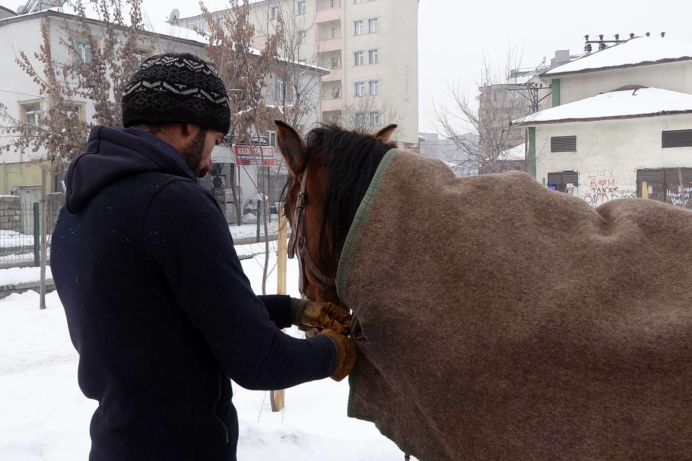 Ağrı ve Erzurum'da 117 yerleşim birimine ulaşım sağlanamıyor